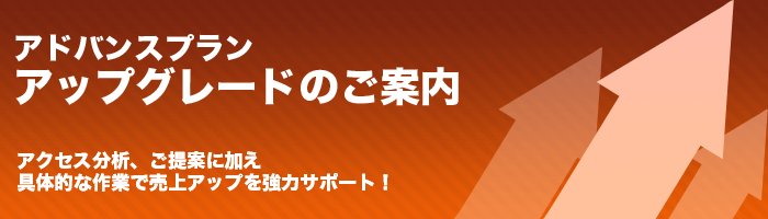 アドバンスプラン